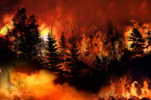 Árboles en llamas tras acto de violación del CRS 18-4-104.