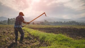 Man working the field in an agriculture job