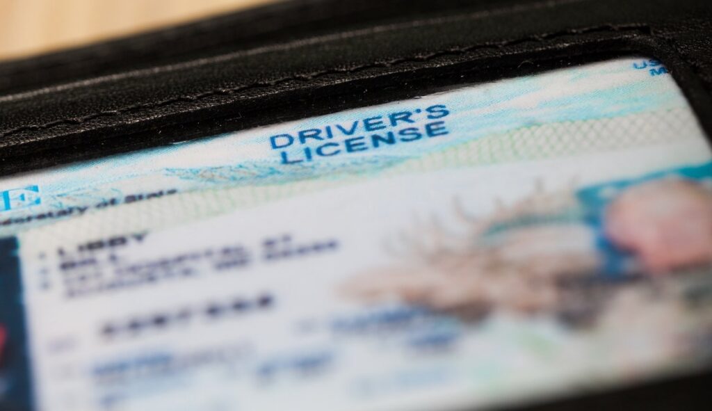 Closeup of a driver's license in wallet